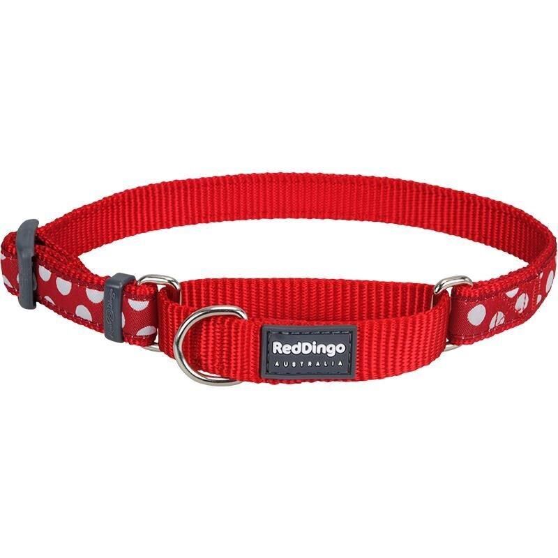 Reddingo Benek Desenli Boyun Eğitim Tasması Kırmızı - 20 mm (M)