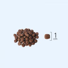 Natura Somon,Yaban Mersini_Chia Mini Irk Yetişkin Köpek Maması 2,75Kg