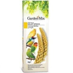Garden Mix Platin Sarı Doğal Dal Darı 150gr