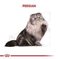 Royal Canin Persian İran Kedilerine Özel Kedi Konservesi 85 Gr 12'Li Paket