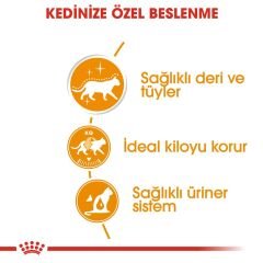 Royal Canin Gravy Intense Beauty Kedi Konservesi 85Gr 12'Li Paket