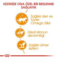 Royal Canin Intense Beauty Jelly Kedi Konservesi 85Gr 12li