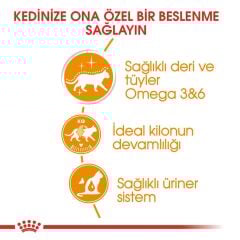 Royal Canin Intense Beauty Jelly Kedi Konservesi 85Gr 12li