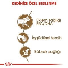Royal Canin Ageing+12 Kedi Konservesi 85Gr 4'Lü Paket