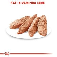 Royal Canin Dermacomfort Hassas Yetişkin Köpek Pouch Konserve 85 Gr 4'Lü Paket