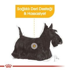 Royal Canin Dermacomfort Hassas Yetişkin Köpek Pouch Konserve 85 Gr 4'Lü Paket