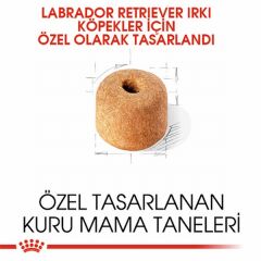 Royal Canin Labrador Retriever Adult Yetişkin Köpek Maması 12 Kg