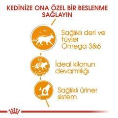 Royal Canin Intense Beauty Jelly Kedi Konservesi 85Gr 4'Lü Paket