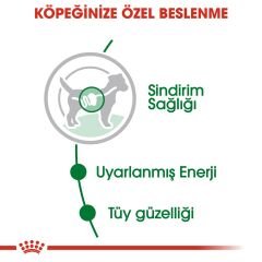 Royal Canin Mini Adult Küçük Irk Pouch Konserve 85 Gr 4'Lü Paket