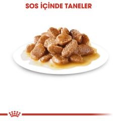 Royal Canin Mini Ageing Küçük Irk Yaşlı Köpek Pouch Konserve 85 Gr 4'Lü Paket
