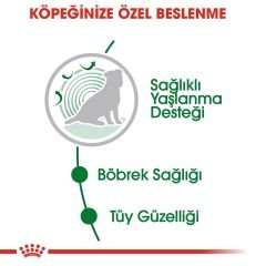 Royal Canin Mini Ageing Küçük Irk Yaşlı Köpek Pouch Konserve 85 Gr 4'Lü Paket