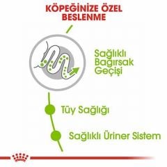 Royal Canin X Small Adult Küçük Irk Yetişkin Köpek Maması 3 Kg