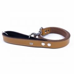 Doggie Konfor Klasik Deri Köpek Gezdirme Tasması Camel 2,5x120 Cm